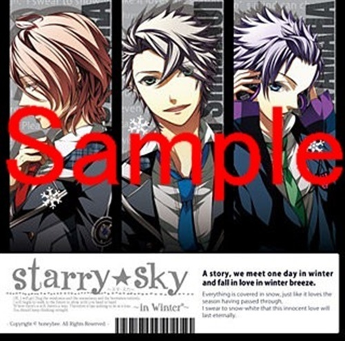 Starry Sky In Winter 中古の価格 198円 ゲーム博物館