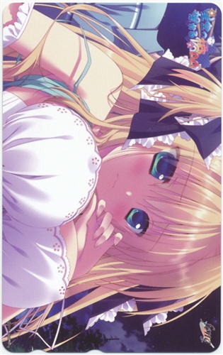 星空へ架かる橋aa 南海ブックス特典 テレホンカード 買取価格 800円 テレカならコムショップ買取