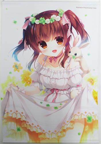 The Idolm Ster シンデレラガールズ B2タペストリー 緒方智絵里 ゆき恵 Clover Heart S アイドルマスターシンデレラガールズタペストリーオガタチエリ 買取価格 500円 男性向同人タペストリーならコムショップ買取