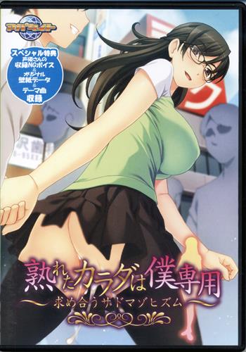 熟れたカラダは僕専用 求め合うサドマゾヒズム 中古の価格 1円 ゲーム博物館