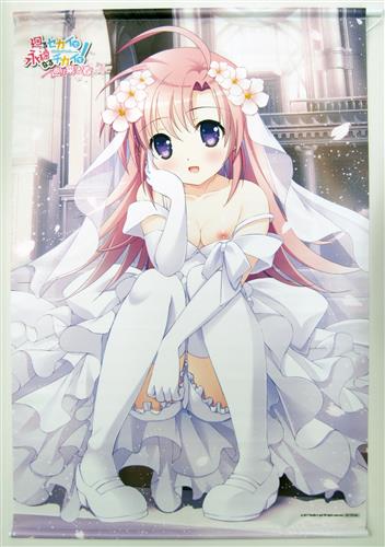 廻るセカイで永遠なるチカイを 巡り来る春 B2タペストリー 天住春廻 ソフマップ特典 買取価格 0円 タペストリーならコムショップ買取