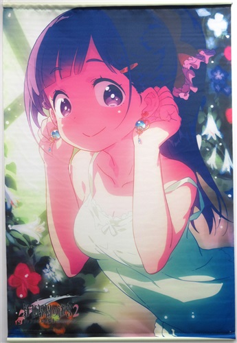 新 世界樹の迷宮 2 ファフニールの騎士 B2タペストリー アリアンナ ソフマップ特典 買取価格 0円 タペストリーならコムショップ買取