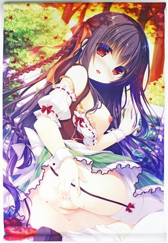 ゆき恵 裏姫百景タペストリーユキエウラヒメヒャッケイタペストリー ...