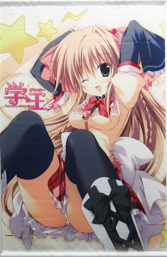 学 王 The Royal Seven Stars タペストリーa 近衛光莉 買取価格 1 000円 タペストリーならコムショップ買取