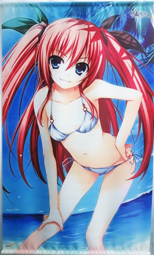 暁の護衛 罪深き終末論 特大タペストリー 二階堂麗華アカツキノゴエイツミブカキシュウマツロントクダイタペストリーニカイドウレイカ 買取価格 700円 タペストリーならコムショップ買取