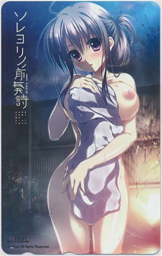 ソレヨリノ前奏詩 ヨドバシカメラ特典 テレホンカード ソレヨリノプロローグ 買取価格 1 600円 テレカならコムショップ買取