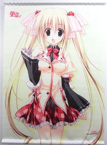 学 王 The Royal Seven Stars タペストリーa 近衛光莉 買取価格 1 000円 タペストリーならコムショップ買取